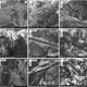 Imagen para el artículo titulado Hallan la 1ª prueba de intervenciones dentales hace 14.000 años